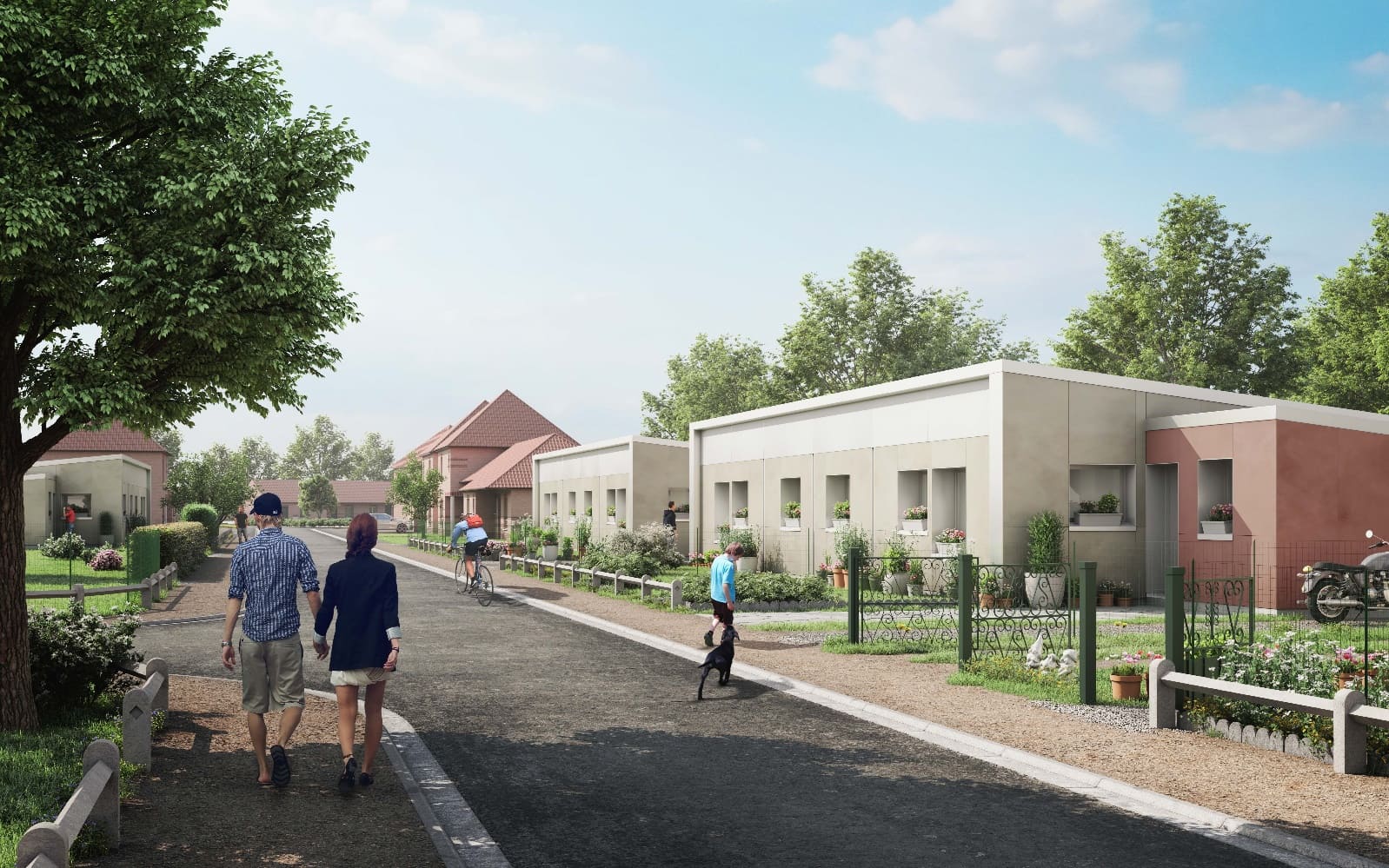 Les Camus esquisse RED CAT & BLAU